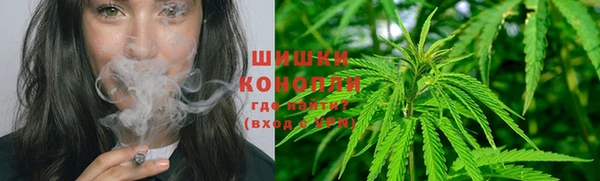 спайс Бородино