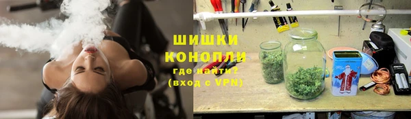 спайс Бородино