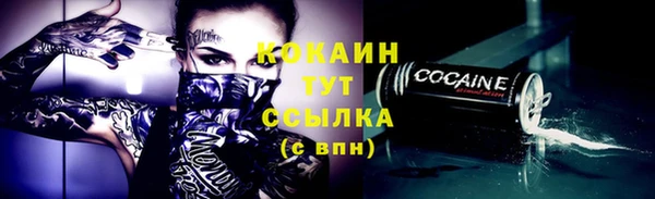 спайс Бородино