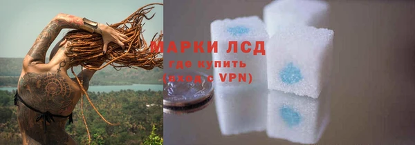 спайс Бородино