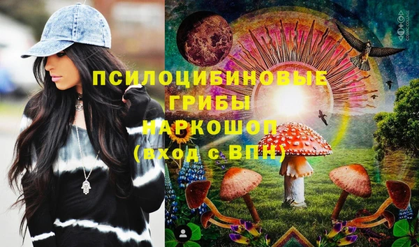 спайс Бородино