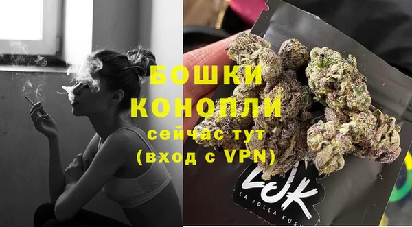 спайс Бородино