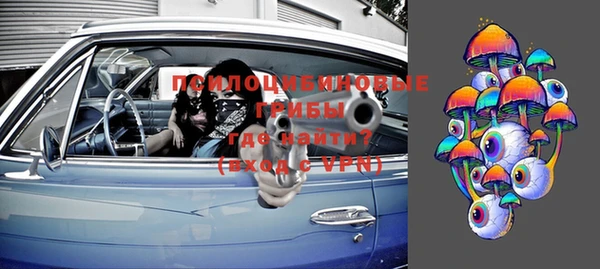 спайс Бородино